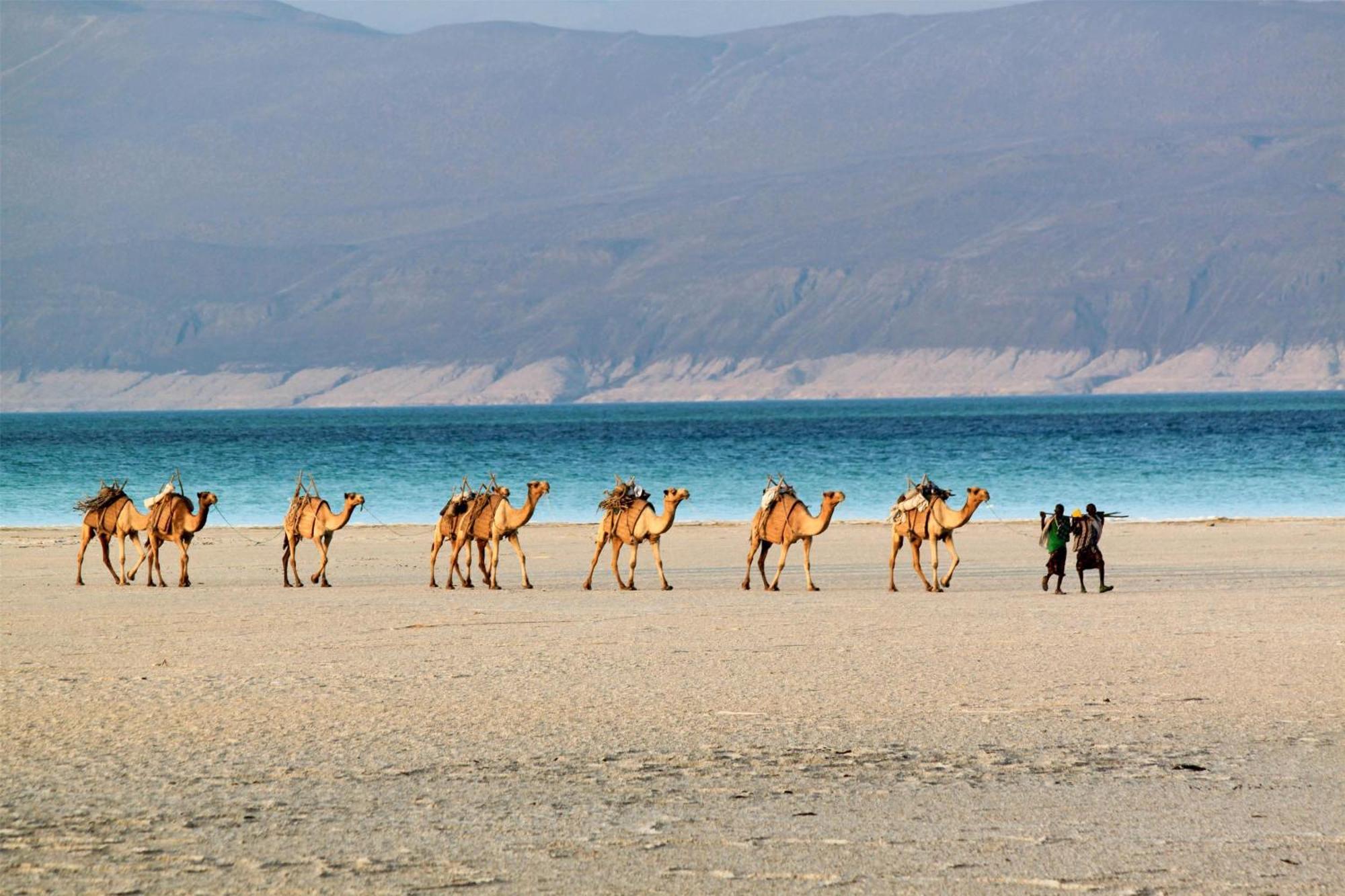 Djibouti Palace Kempinski Djibouti City Bagian luar foto